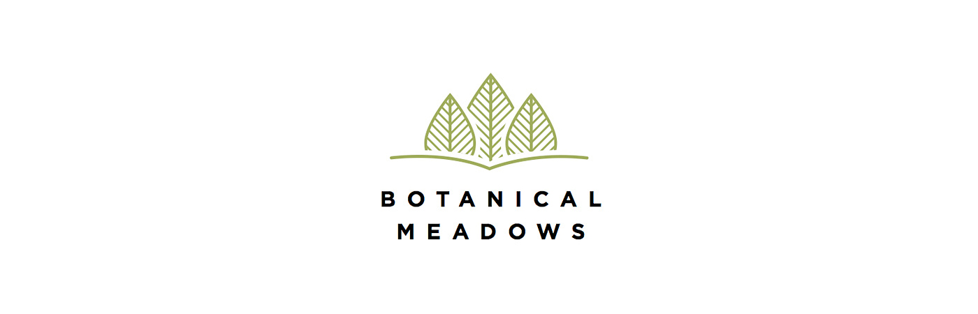 BotanicalMeadows001